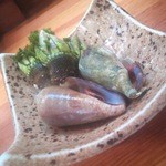 Shiyokatsu - 亀の手・チャンバラ貝