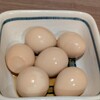 焼鳥日高 下井草店