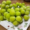 行方市観光物産館こいこい - 