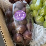 中下農園 ブドウ直売所 - 『ピオーネ』