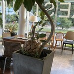 好文cafe - 
