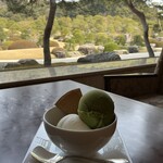 翆 - 抹茶のシャーベットとジャージーミルクのアイスクリーム