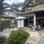 cafe anjin - 