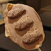 ははそたい焼き