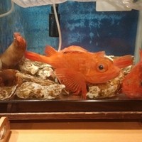 海乃四季 - 