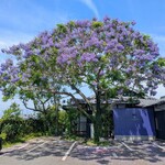 羅座亜留 炭火焼珈琲自家焙煎所 JACARANDA COFFEE ROASTERY - 