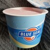 ブルーシール 名古屋柴田店