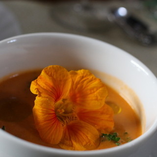 カサ・トリアングロ_0