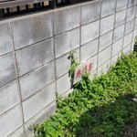 典代婁 - 交差点を超えて少し歩いたところに駐車場がありました