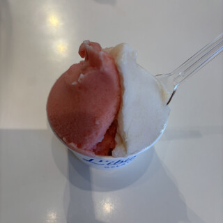 リビスコ_1