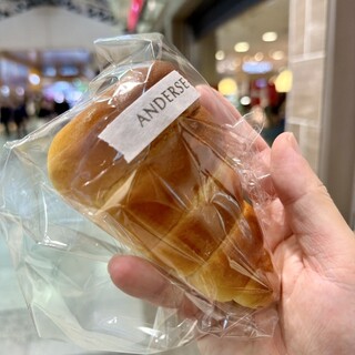 アンデルセン_1