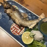 鶏と魚と炭火焼き 燈 - 