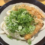 いぶきうどん - 料理写真:醤油うどん370円+ごぼう天210円