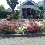 散歩道 - 秋葉山公園の隣です
