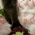 Gomaya - 石鯛の活け造り