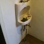 散歩道 - 手洗い器