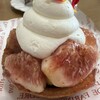 カンツバキ NOBU
