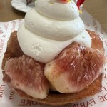 カンツバキ NOBU - 料理写真: