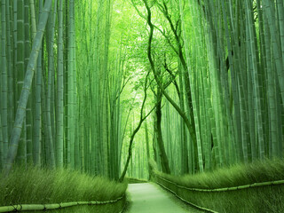 Saryou Hassui - 嵯峨の竹林からも程近い立地。嵐山観光の際に是非お立ち寄りください。