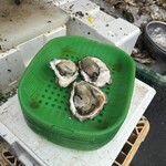魚売場　森田水産 - 