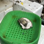 魚売場　森田水産 - 