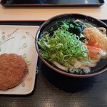 セルフうどん やま - 料理写真: