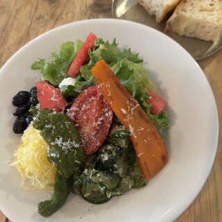 cafe dailyship_1