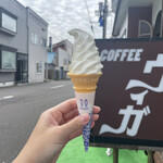 ヴィガ - 