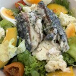 RF1 SALAD MEAL - 料理写真: