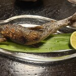 日本料理 澤田 - 四万十の鮎の塩焼き