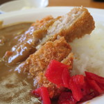 市立室蘭総合病院2階レストラン - 豚カツカレー　670円