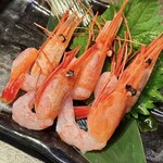 個室居酒屋 焼き鳥と炉端焼き うち田 - 