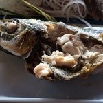 漁師料理十次郎 - ほろほろ