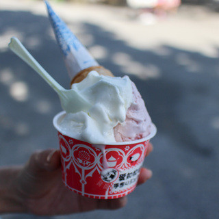 愛知牧場 モーハウス売店_1