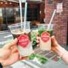 CLOUD CLUB MATCHA
