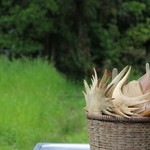 SEWING TABLE COFFEE - 庭