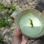 SEWING TABLE COFFEE - グリーンティー冷