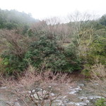 洛北荘 - '15.04.05（日）　客室より