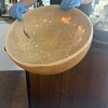 パスタスタジアム　よろこば食堂 - 