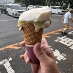里見ジェラート - 料理写真: