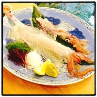 河太郎 中洲本店 - いか活き造りランチ。