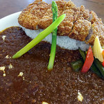 アプランティ - 5月6月限定カツカレー
