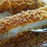 アプランティ - 5月6月限定カツカレー