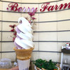 ベリーファーム １７条店