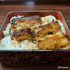 いかり - 活鰻を使い深蒸しの蒲焼が横たわったうな丼