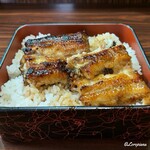 いかり - 活鰻を使い深蒸しの蒲焼が横たわったうな丼