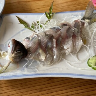 板取川 洞戸観光ヤナ_0