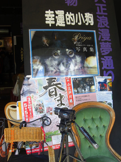 願い事がかなう不思議な犬『プリアちゃん』のいるお店』by hide1017