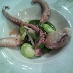 cenci - 菜の花、うど、飯蛸