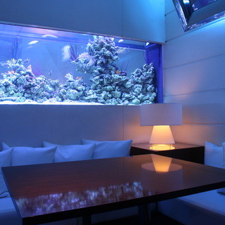 DEN アクアルーム 新宿_2